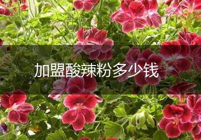 加盟酸辣粉多少钱