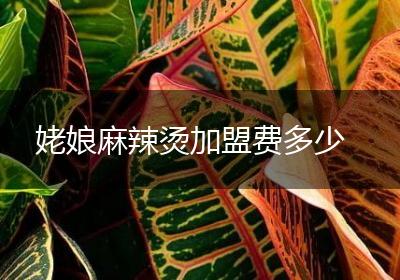 姥娘麻辣烫加盟费多少