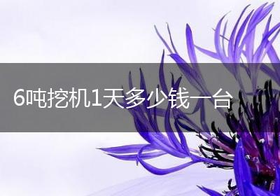6吨挖机1天多少钱一台