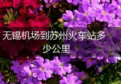 无锡机场到苏州火车站多少公里