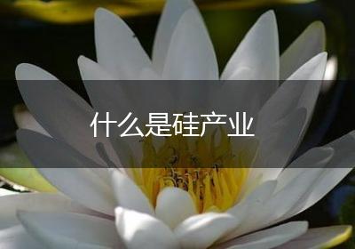 什么是硅产业