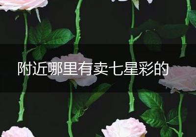 附近哪里有卖七星彩的