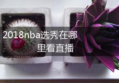 2018nba选秀在哪里看直播