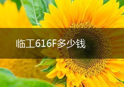 临工616F多少钱
