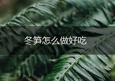 冬笋怎么做好吃