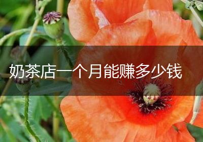 奶茶店一个月能赚多少钱