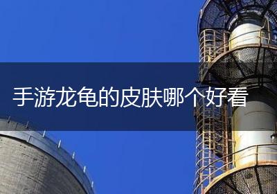 手游龙龟的皮肤哪个好看