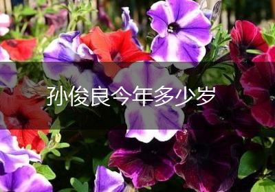 孙俊良今年多少岁