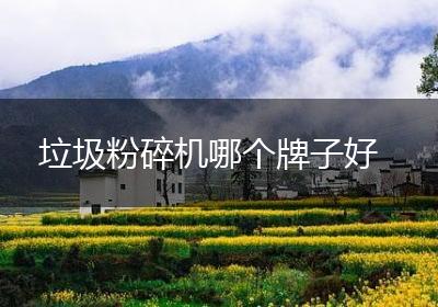 垃圾粉碎机哪个牌子好