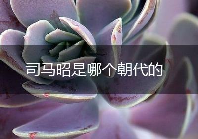 司马昭是哪个朝代的