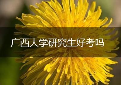 广西大学研究生好考吗