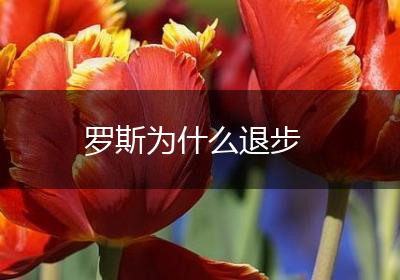 罗斯为什么退步