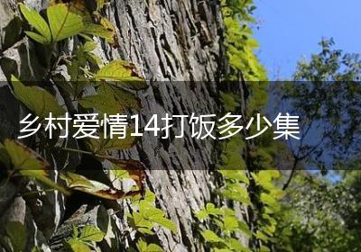 乡村爱情14打饭多少集