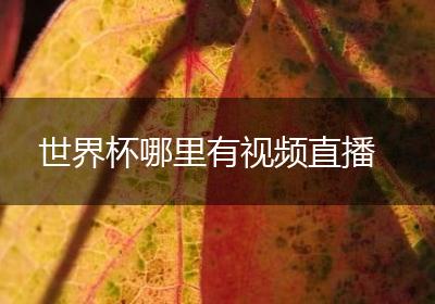 世界杯哪里有视频直播