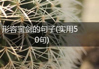 形容宝剑的句子(实用50句)