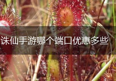 诛仙手游哪个端口优惠多些