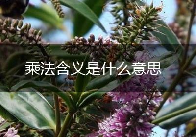 乘法含义是什么意思