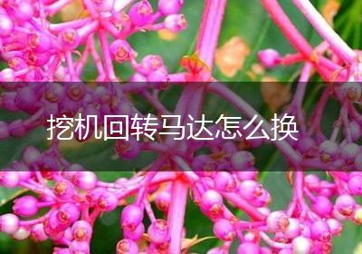 挖机回转马达怎么换