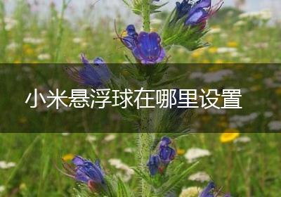 小米悬浮球在哪里设置