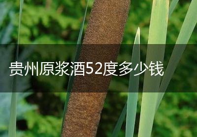 贵州原浆酒52度多少钱