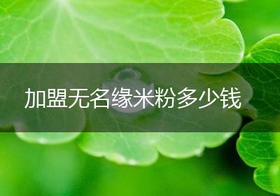 加盟无名缘米粉多少钱