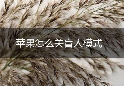 苹果怎么关盲人模式