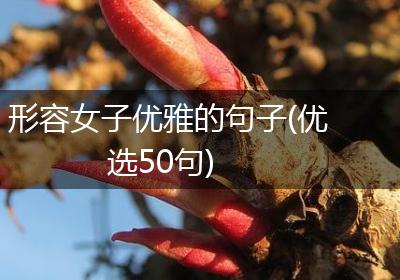 形容女子优雅的句子(优选50句)