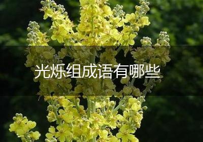 光烁组成语有哪些