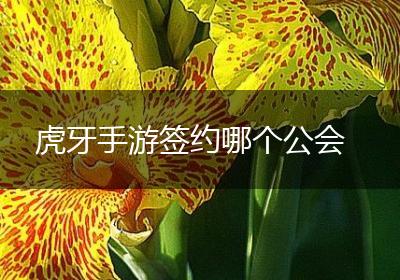 虎牙手游签约哪个公会