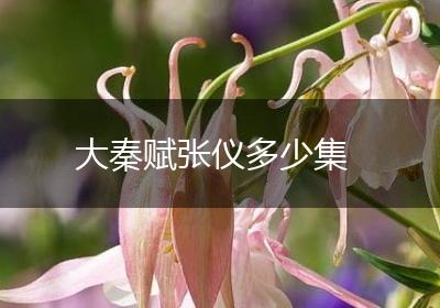 大秦赋张仪多少集