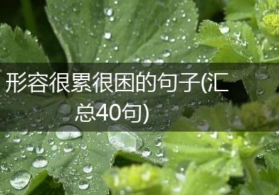 形容很累很困的句子(汇总40句)