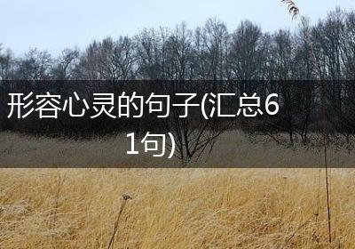 形容心灵的句子(汇总61句)