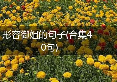 形容御姐的句子(合集40句)