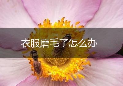 衣服磨毛了怎么办