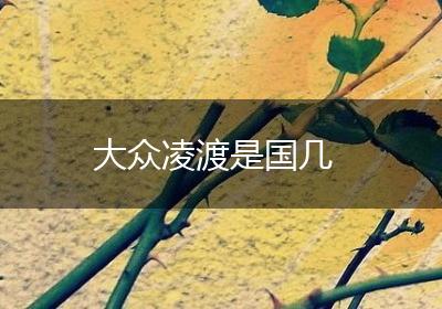 大众凌渡是国几