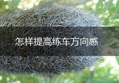 怎样提高练车方向感
