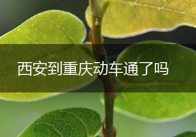 西安到重庆动车通了吗