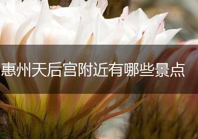 惠州天后宫附近有哪些景点