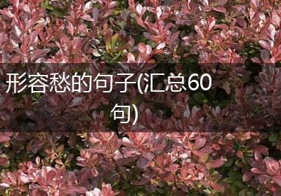 形容愁的句子(汇总60句)