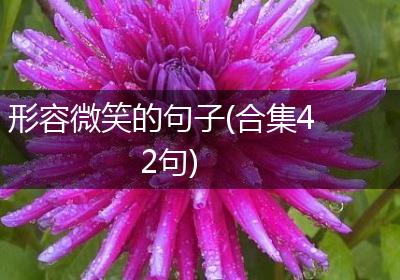 形容微笑的句子(合集42句)
