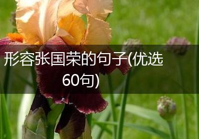 形容张国荣的句子(优选60句)