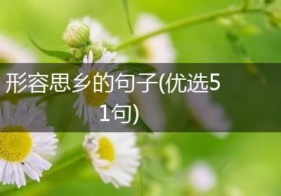 形容思乡的句子(优选51句)