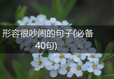 形容很吵闹的句子(必备40句)