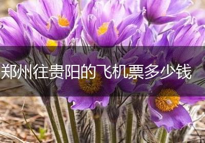 郑州往贵阳的飞机票多少钱