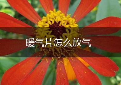 暖气片怎么放气