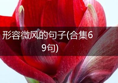 形容微风的句子(合集69句)