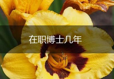 在职博士几年