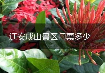 迁安成山景区门票多少