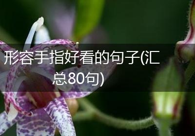 形容手指好看的句子(汇总80句)