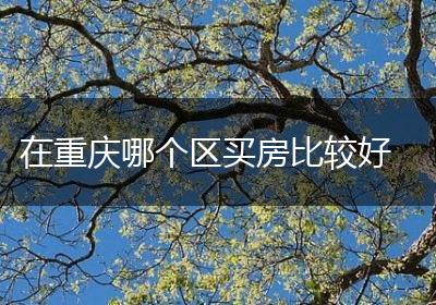 在重庆哪个区买房比较好